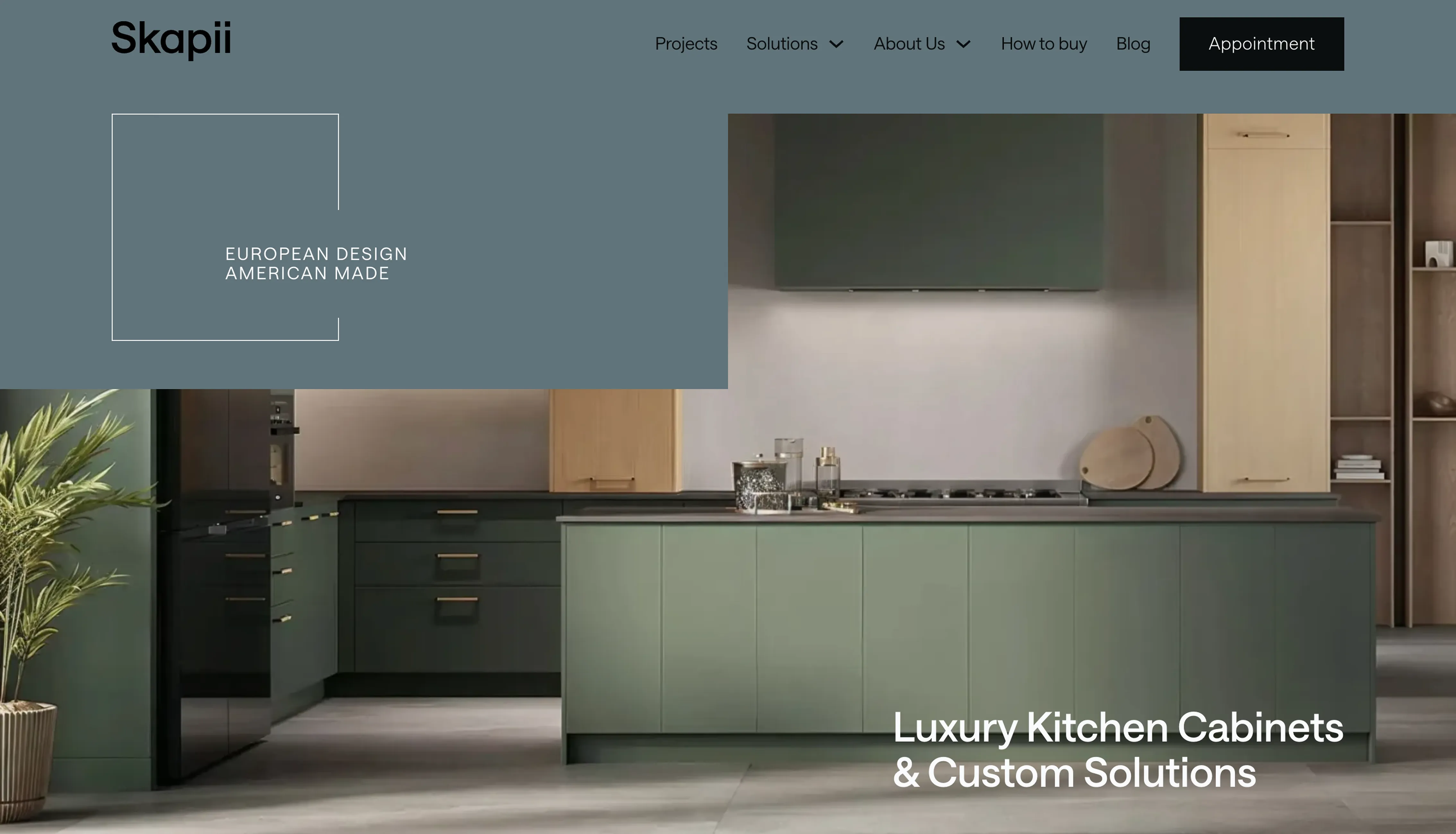 Skapii — custom kitchen cabinets website design by ePageUSA